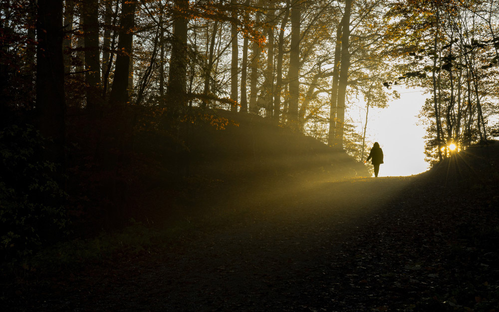 Caminhos da espiritualidade: o Maha Lilah como evolução pessoal